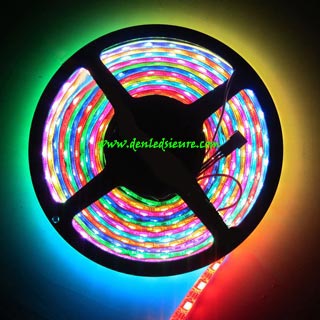 LED DÂY 5050 RGB 7 MÀU KHÔNG KEO